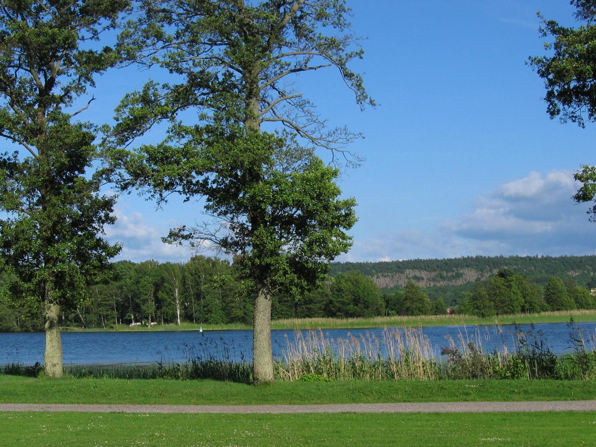 Hotel Hehrne Koek & Konferens Vanersborg Luaran gambar